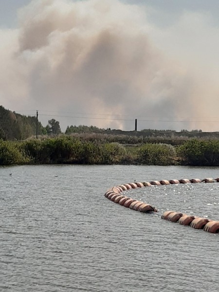 Медцентр &laquo;Пышма&raquo; готовят к эвакуации - там произошло сразу два крупных лесных пожара