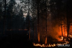 Губернатор Моор сообщил о ликвидации пожаров в Тюменской области