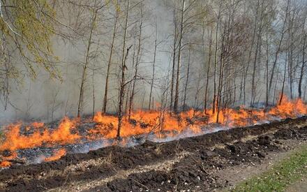 В Тюмени по СНТ совершают рейды оперативные группы, они ищут нарушителей противопожарного режима 