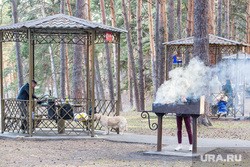 Тюменцы могут отдыхать в лесах, несмотря на режим ЧС. Карта мест