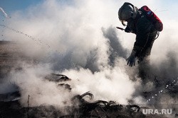 В Тюменской области потушили самый крупный лесной пожар