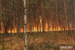 В Тюмень из-за пожаров приехал еще один федеральный чиновник