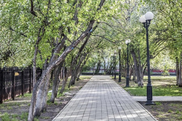 В Тюменской области ограничения из-за COVID-19 продлили до 20 июня