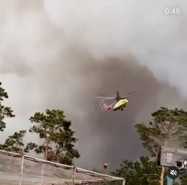 Сотрудники МЧС спасли Тюменский зоопарк от огня 