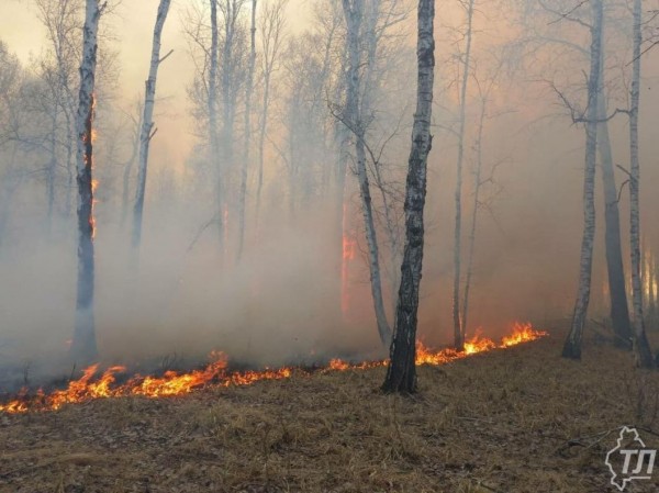 В Тюменской области действует более двадцати пожаров 