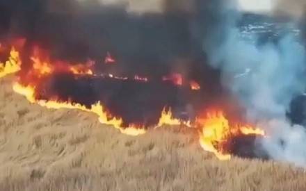 Тюменский губернатор распорядился закрыть все дороги в леса 