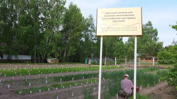 Тюменский карбоновый полигон создадут на базе биостанции ТюмГУ Тюменский карбоновый полигон создадут на базе биостанции ТюмГУ