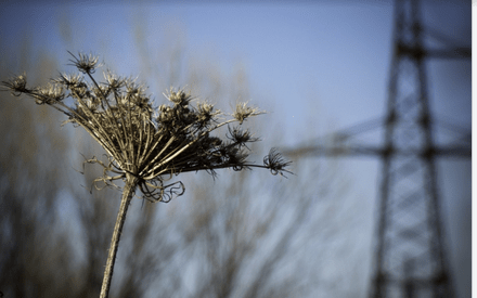 В предстоящие двое суток в Тюмени ожидаются заморозки до -3 градусов В предстоящие двое суток в Тюмени ожидаются заморозки до -3 градусов