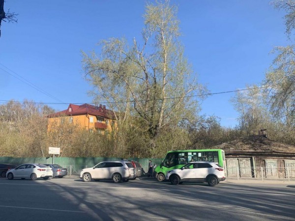 Тополь - ровесник Победы украшает улицу Профсоюзную в Тюмени