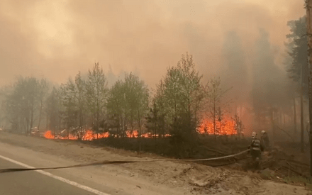 Генпрокуратура указала тюменским властям на нарушения при тушении лесных пожаров