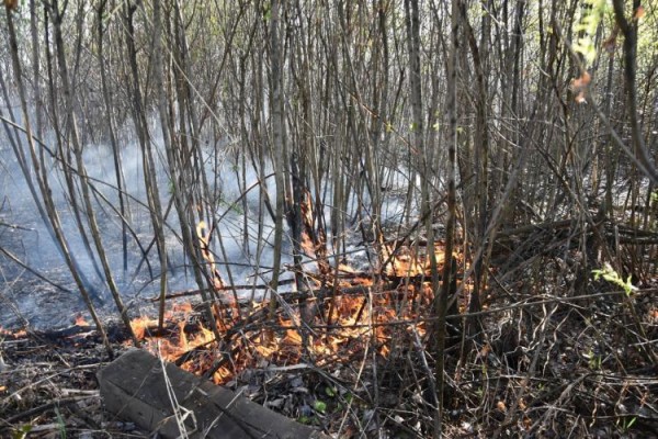 Сотрудники МЧС устраняют природный пожар в лесопарковой зоне Тюмени 