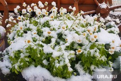 Гидрометцентр предупредил об аномальном похолодании