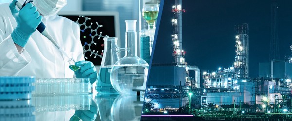 В Тюмени построят карбоновую станцию площадью около 8 гектаров В Тюмени построят карбоновую станцию площадью около 8 гектаров