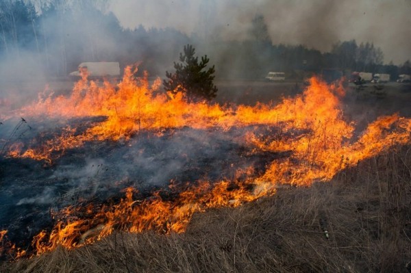 
В Тюмени сохраняется опасность возникновения пожаров
