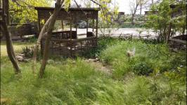 Черноморские базы отдыха готовы к приезду тюменцев по программе "Мать и дитя" 