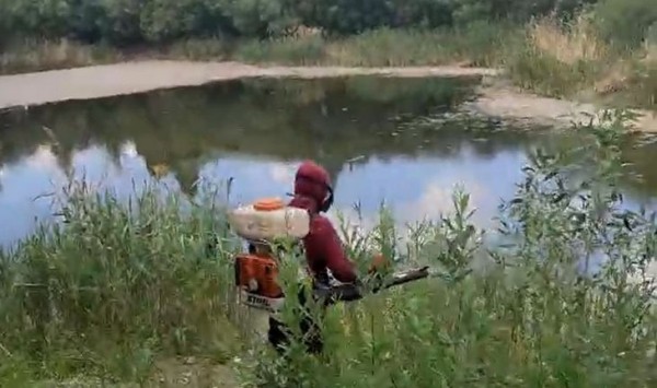 Укусы комаров и мошек могут вызвать аллергическую реакцию, напоминают врачи 