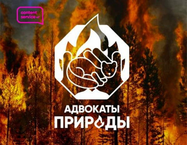 Более пятисот человек проголосовали за бренд для тюменских спасателей 