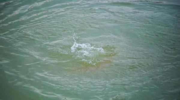 В реке Тобол обнаружили тело пропавшего рыбака