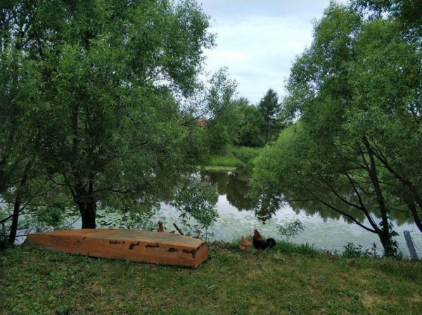 Александр Моор поблагодарил экологов за сохранение природного богатства региона Александр Моор поблагодарил экологов за сохранение природного богатства региона