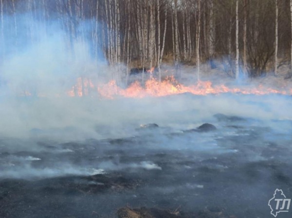 Два лесных пожара действуют в Тюменской области