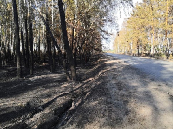 Лесные пожары в Тюменском районе локализованы