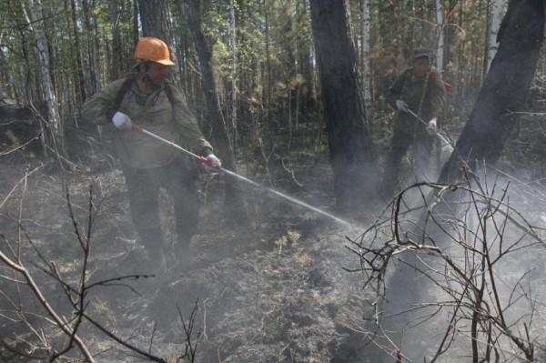 Борьба с лесными пожарами продолжается в Тюменской области Борьба с лесными пожарами продолжается в Тюменской области