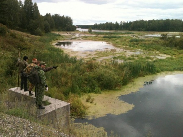 В Тюмени поисками исчезнувшей 8-летней Насти Муравьевой заняты более 300 человек