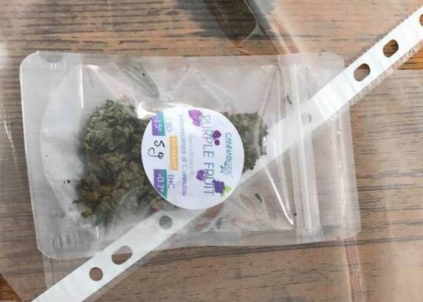 Тюменские таможенники пресекли контрабанду наркотиков из Италии