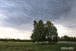 На Тюменскую область надвигается шторм с градом