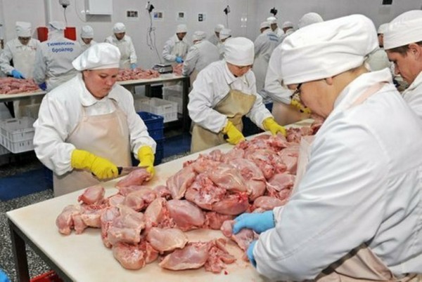 Птицеводы Тюменского района наращивают выпуск продукции