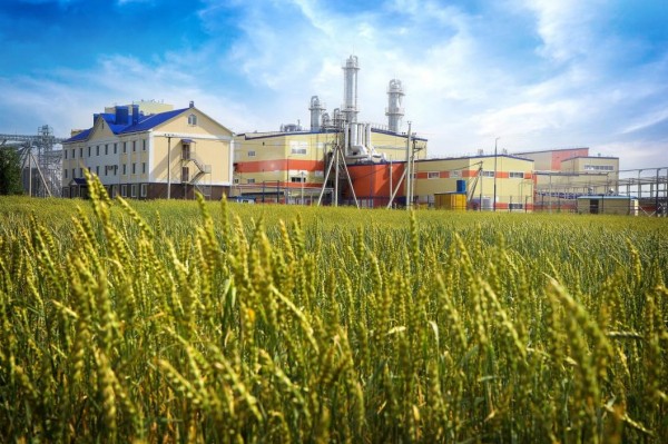 Тюменский "АминоСиб" увеличил экспорт глютена и этилового спирта в два раза