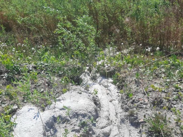 В Тюмени наказали водителя за слив бетона на территории жилого комплекса