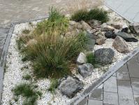 Замглавы Минстроя РФ Максим Егоров: в Тюмени будет одна из самых лучших набережных в России