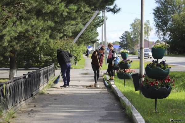 В Уватском районе  409 подростков получили работу в летние каникулы 