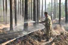 Названы предварительные причины лесного пожара в районе базы отдыха "Боровое" под Тюменью Названы предварительные причины лесного пожара в районе базы отдыха "Боровое" под Тюменью