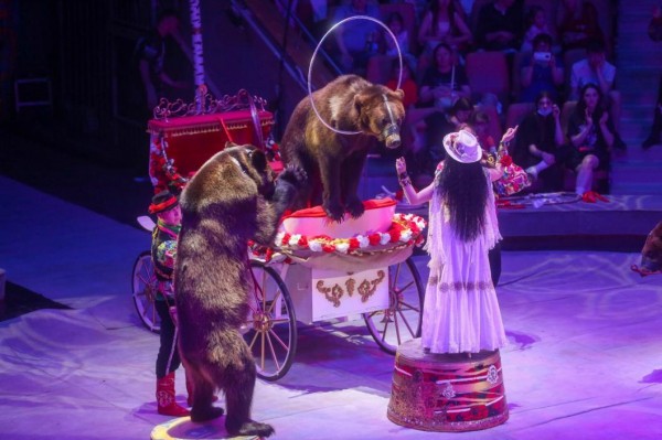 Шоу "5 континентов" лучше увидеть своими глазами в Тюмени