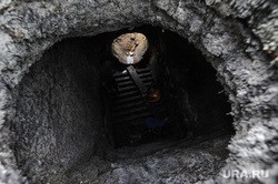 В центре Тюмени нашли труп в коллекторе