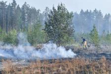 Названы предварительные причины лесного пожара в районе базы отдыха "Боровое" под Тюменью Названы предварительные причины лесного пожара в районе базы отдыха "Боровое" под Тюменью