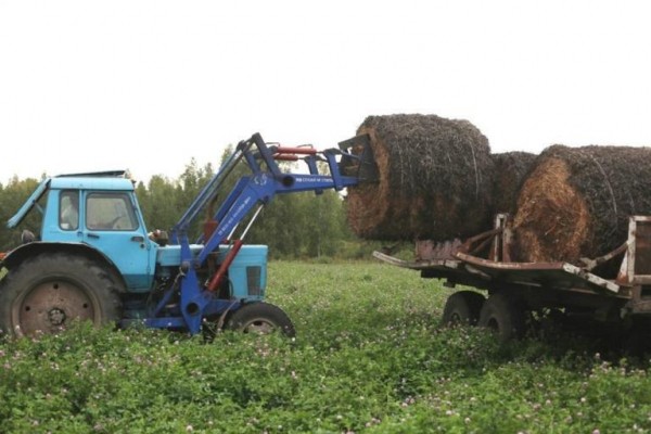 Викуловские аграрии перевыполнили план по заготовке сенажа Викуловские аграрии перевыполнили план по заготовке сенажа