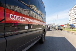 Бастрыкин взял на контроль поиски 9-летней девочки в Тюмени