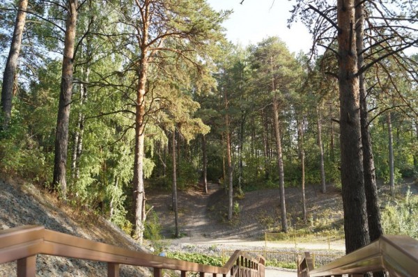 В Тюмени 73% горожан выбрали существующее благоустройство лога Гилевской рощи