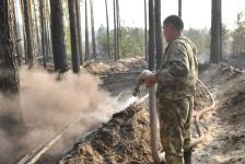 Названы предварительные причины лесного пожара в районе базы отдыха "Боровое" под Тюменью Названы предварительные причины лесного пожара в районе базы отдыха "Боровое" под Тюменью