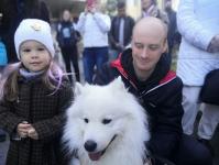 Тюменцы вышли на здоровую прогулку с домашними питомцами