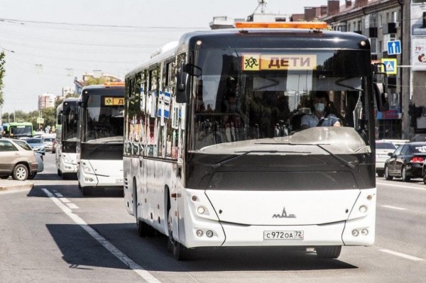 Шилова: кешбэк на летний детский отдых не получили еще 116 родителей