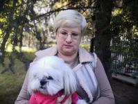 Тюменцы вышли на здоровую прогулку с домашними питомцами