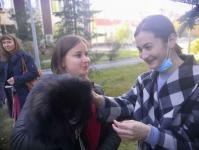 Тюменцы вышли на здоровую прогулку с домашними питомцами