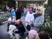 Тюменцы вышли на здоровую прогулку с домашними питомцами