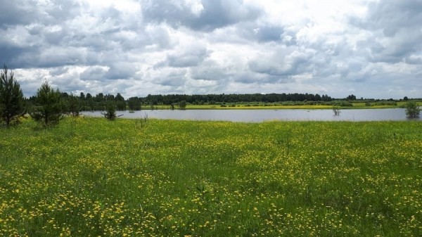 Тобольский район предлагает земельные участки инвесторам