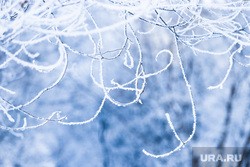 В Гидрометцентре прогнозируют заморозки на Урале