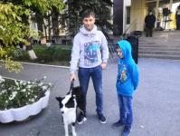 Тюменцы вышли на здоровую прогулку с домашними питомцами